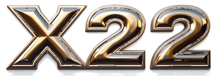 x22 logo